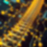 A conceptual illustration of blockchain technology