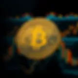 A close-up view of the leading cryptocurrency logo against a digital backdrop